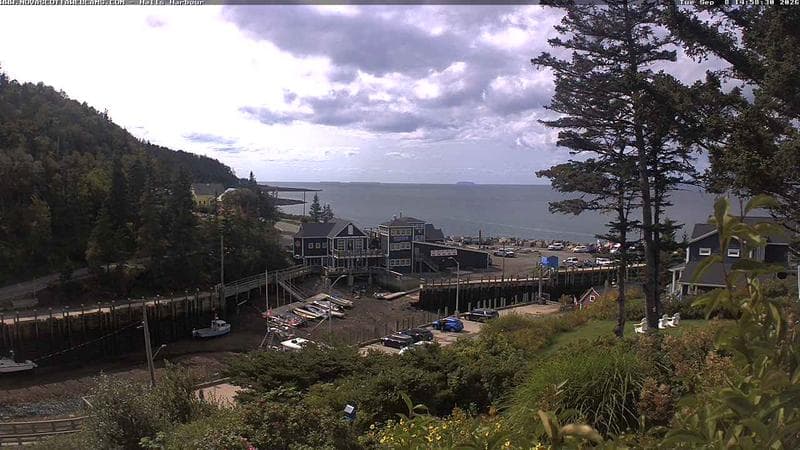 Hall's Harbour