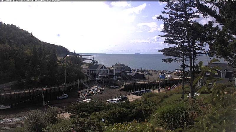 Hall's Harbour