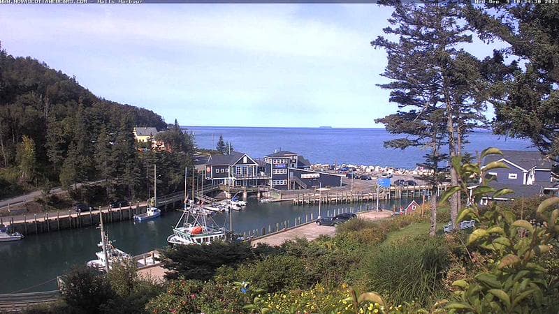 Hall's Harbour