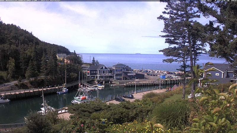 Hall's Harbour