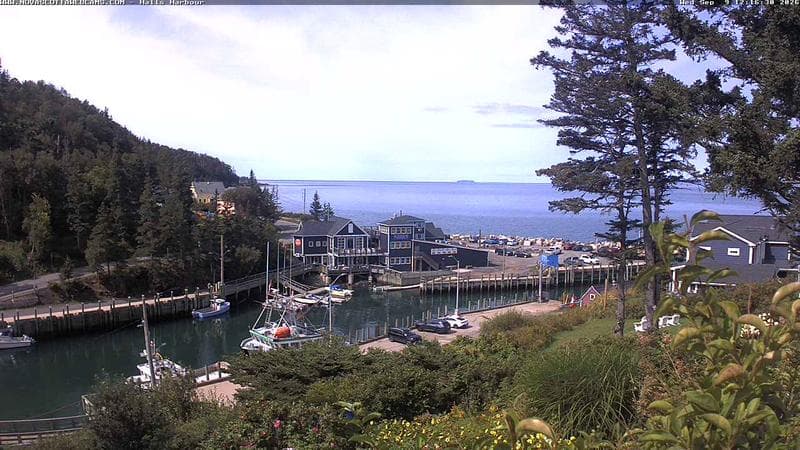 Hall's Harbour