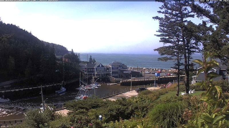 Hall's Harbour