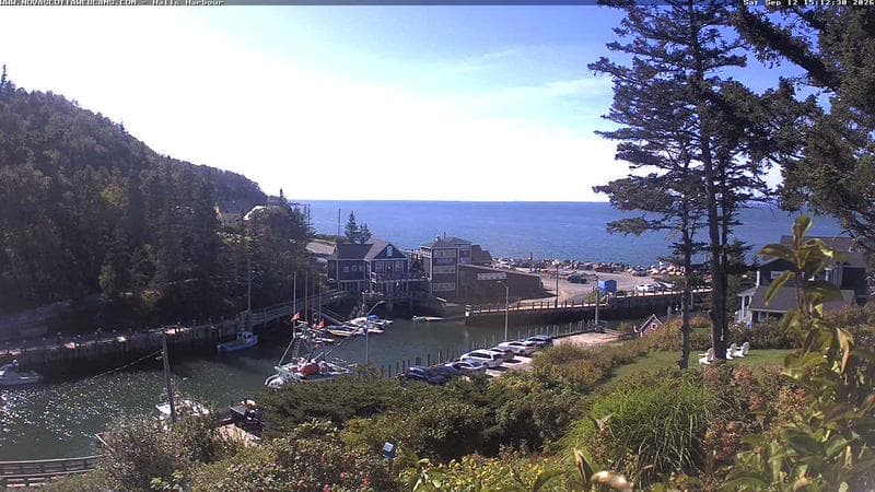 Hall's Harbour