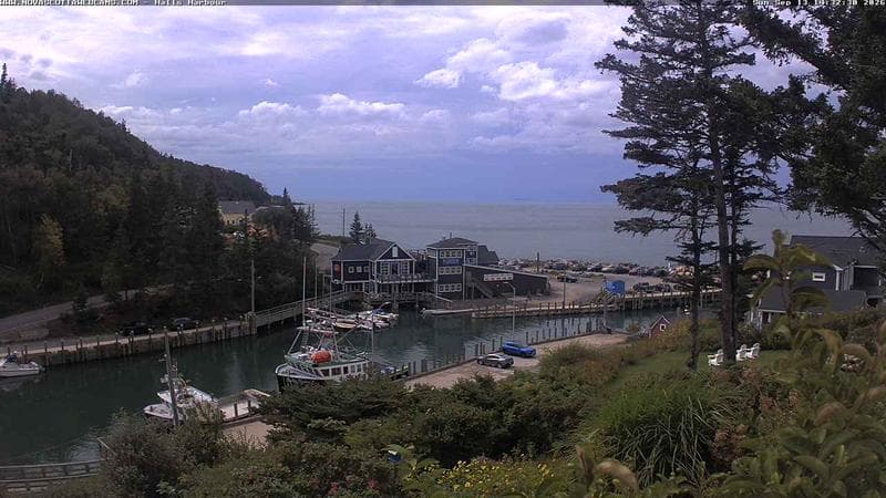 Hall's Harbour
