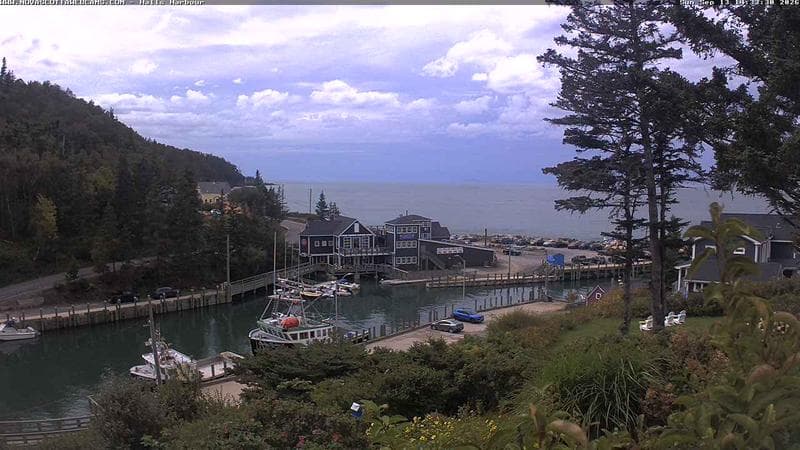 Hall's Harbour