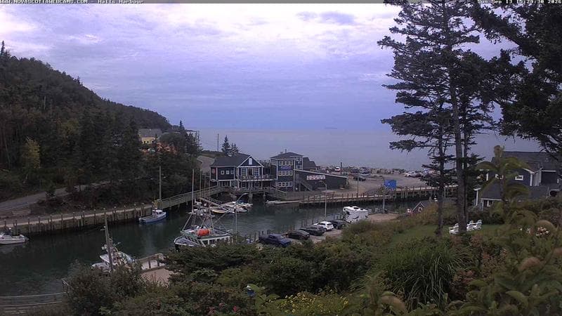 Hall's Harbour