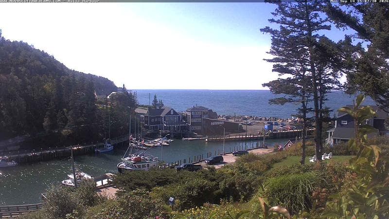 Hall's Harbour