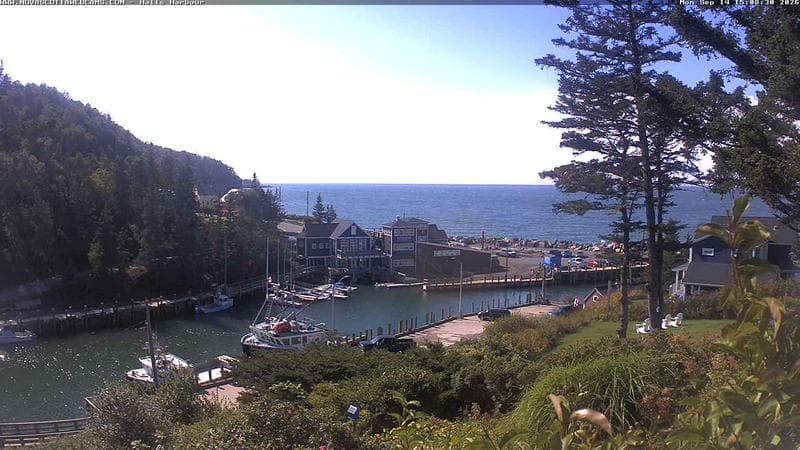 Hall's Harbour