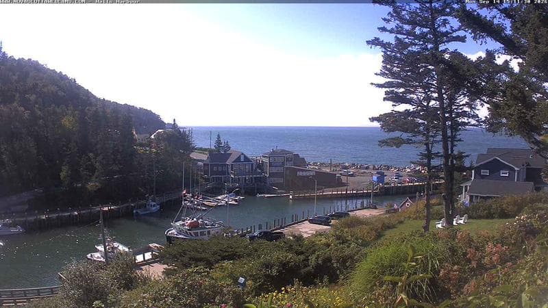 Hall's Harbour