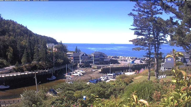 Hall's Harbour