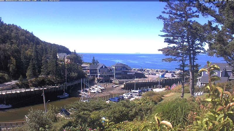 Hall's Harbour