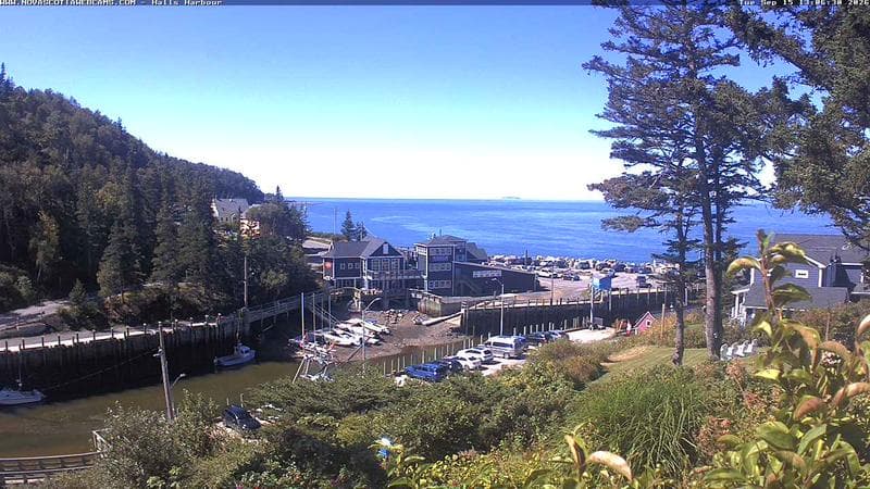 Hall's Harbour