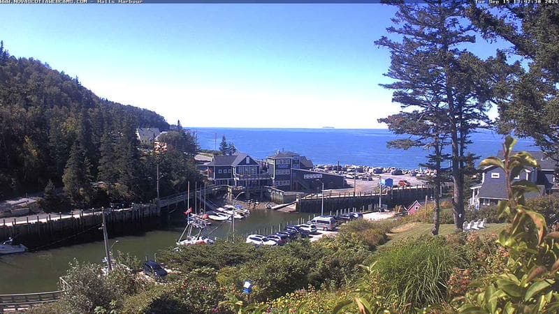 Hall's Harbour