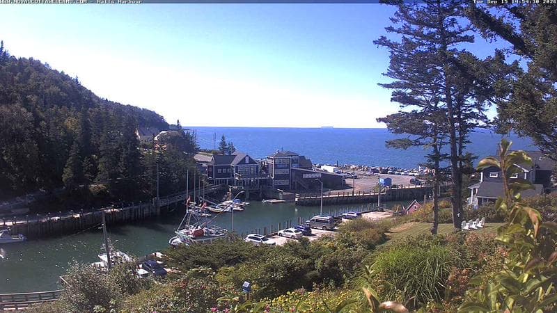 Hall's Harbour
