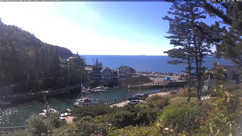 Hall's Harbour
