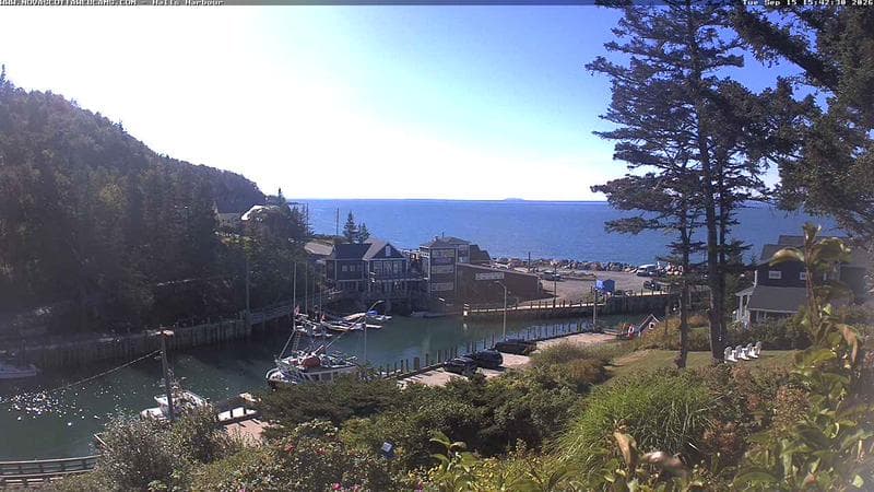 Hall's Harbour
