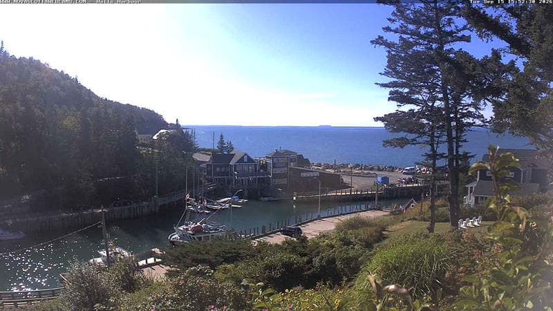 Hall's Harbour