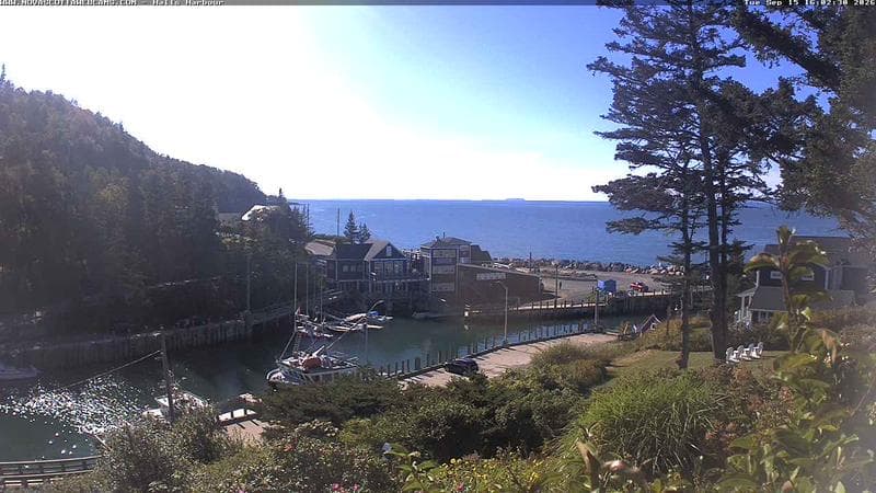 Hall's Harbour