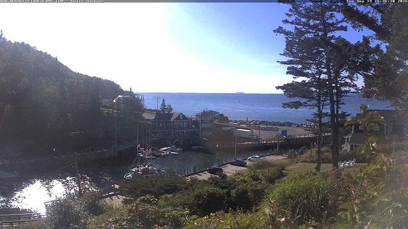 Hall's Harbour