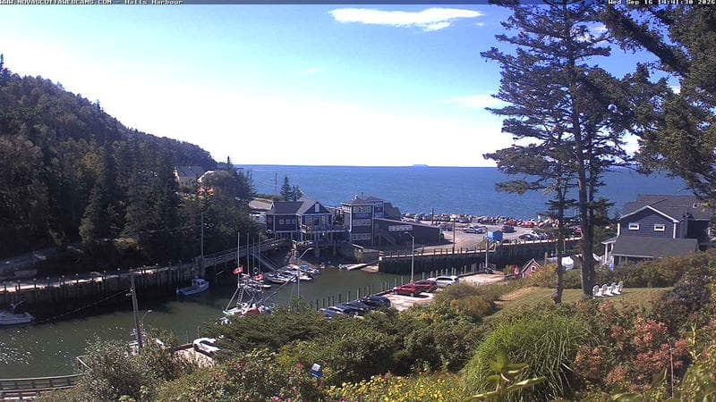 Hall's Harbour