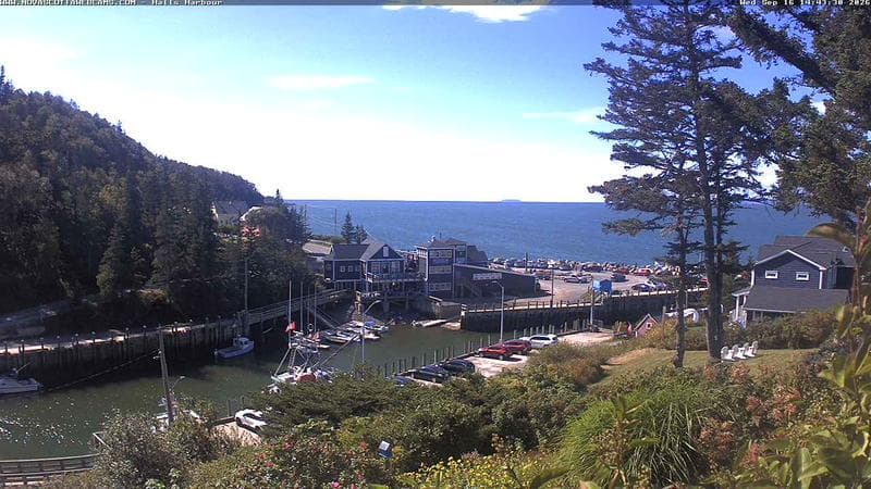 Hall's Harbour