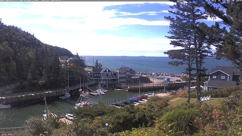Hall's Harbour