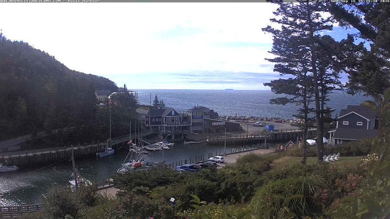 Hall's Harbour