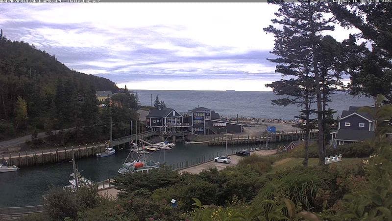 Hall's Harbour