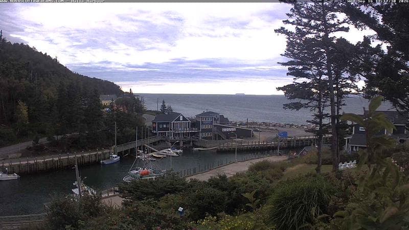 Hall's Harbour