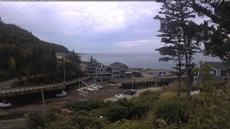 Hall's Harbour