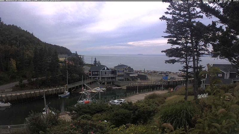 Hall's Harbour