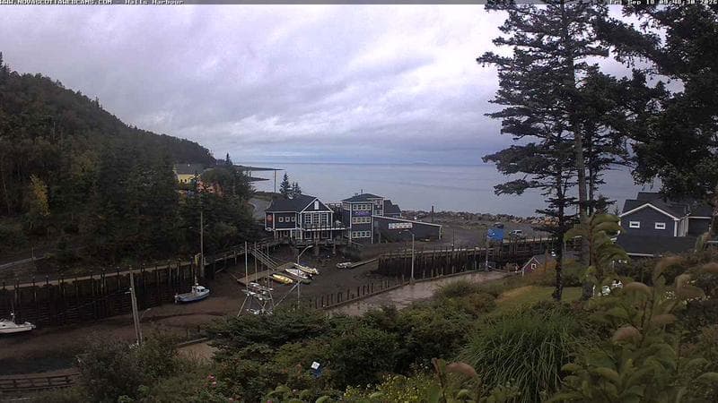 Hall's Harbour