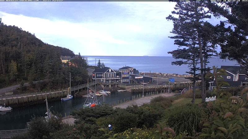 Hall's Harbour