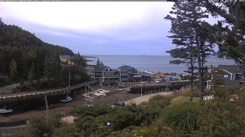 Hall's Harbour