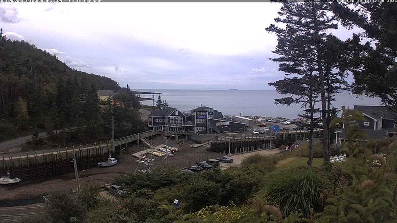 Hall's Harbour