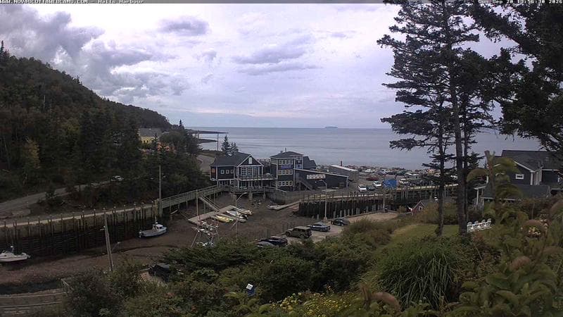 Hall's Harbour