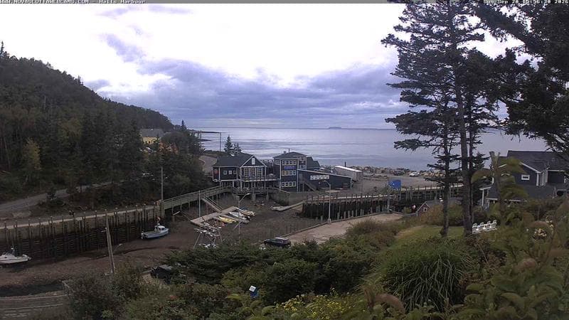 Hall's Harbour