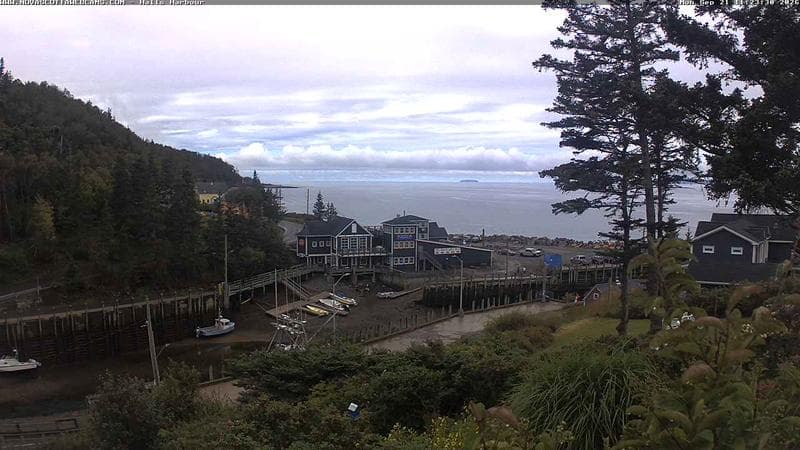 Hall's Harbour