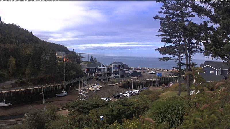 Hall's Harbour