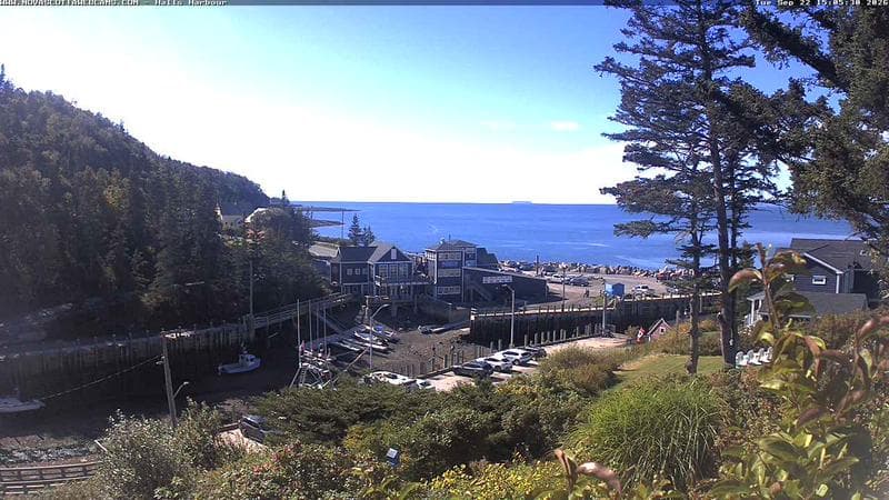 Hall's Harbour