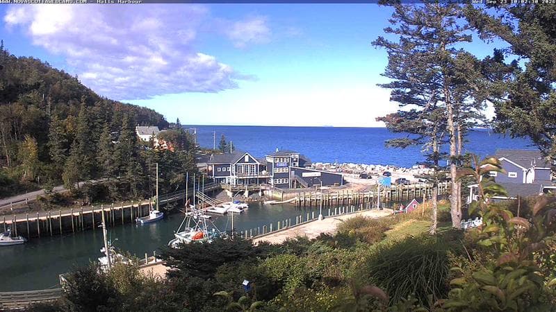 Hall's Harbour