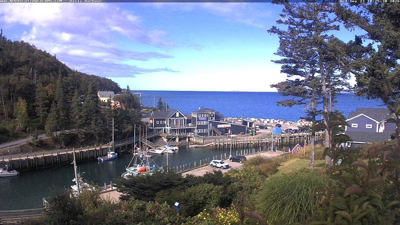 Hall's Harbour