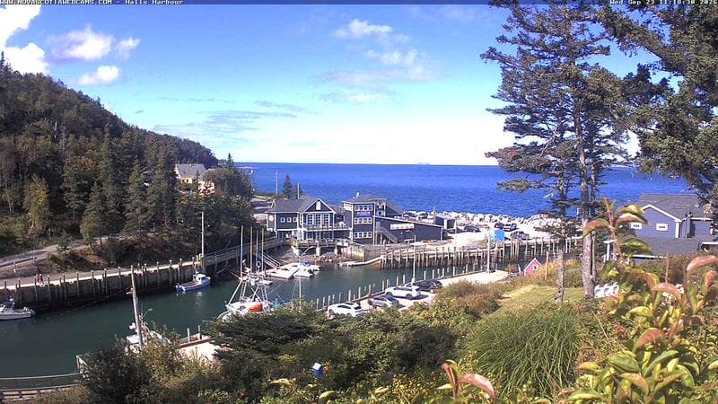 Hall's Harbour
