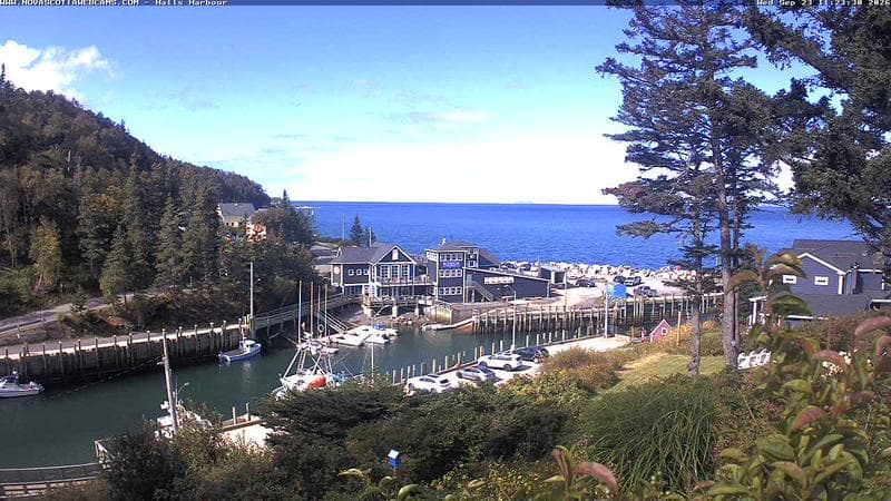 Hall's Harbour