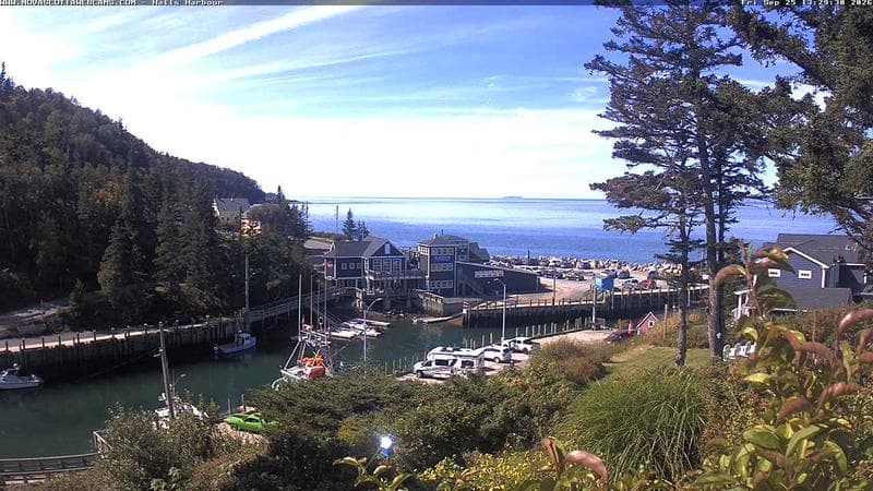 Hall's Harbour