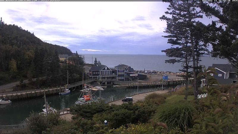 Hall's Harbour