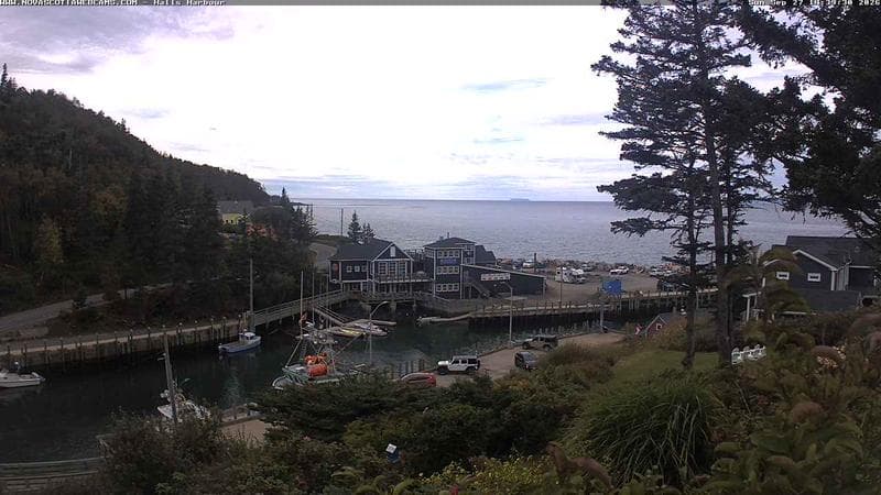 Hall's Harbour