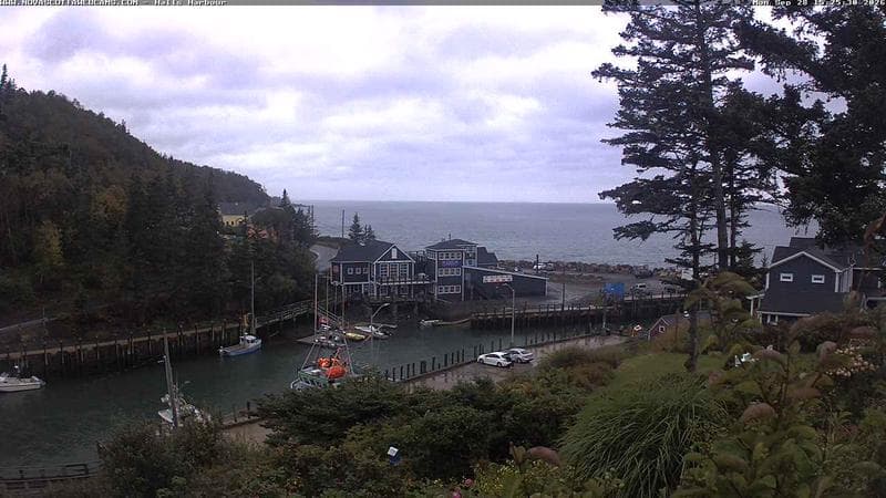 Hall's Harbour