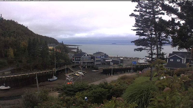 Hall's Harbour