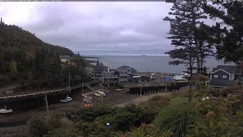 Hall's Harbour